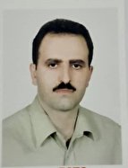 حسن حبیب پور کاشی عضو گروه تخصصی